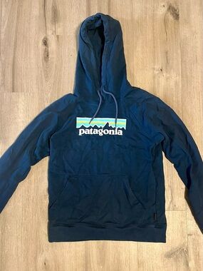 Patagonia Women’s Logo Hoodie